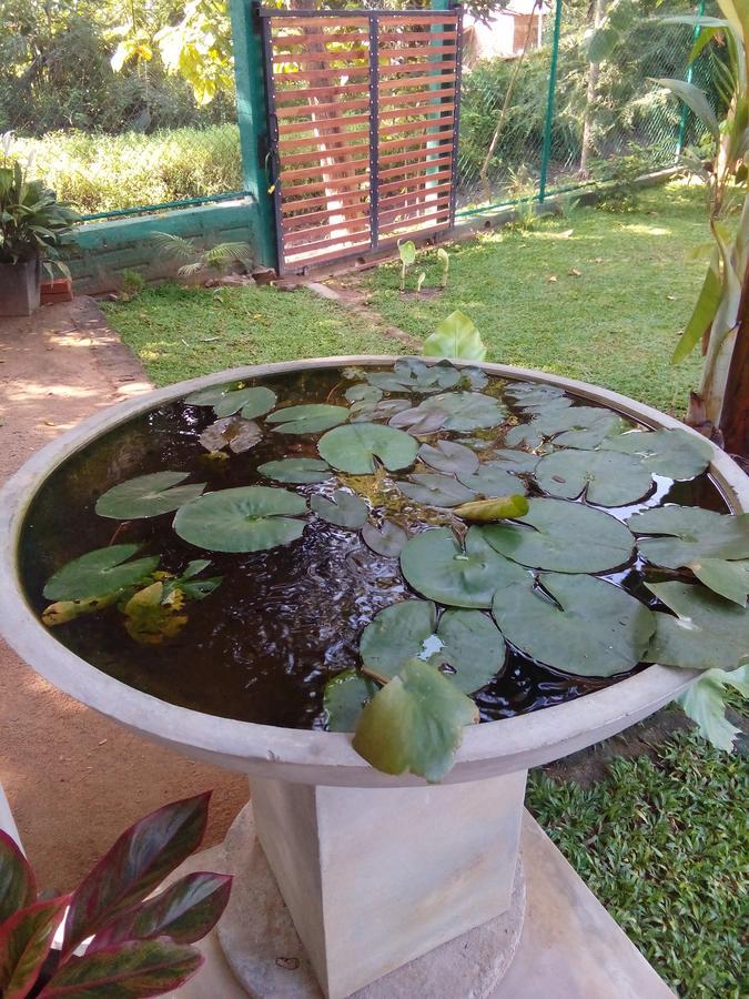 Waterway Garden Villa Polonnaruwa Bagian luar foto